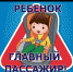 «Пристегнись и улыбнись!» - Караидельский район