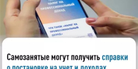 Самозанятые могут получить справки  о постановке на учет и доходах в режиме онлайн - Караидельский район