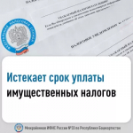 Истекает срок уплаты имущественных налогов