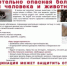 Бешенство — это вирусное заболевание, поражающее нервную систему. - Караидельский район